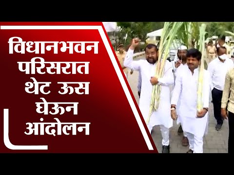 साला दर नाही म्हणून थेट विधानभवन परिसरात Gopichand Padalkar, Sadabhau Khot यांचं आंदोलन - tv9