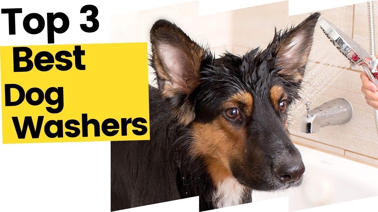 Best Dog Washers On Amazon in 2023