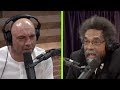 Trump and the Crisis at the Border | Joe Rogan and Dr. Cornel West