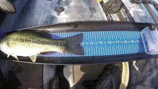 Quick tips - Catch Photo Release