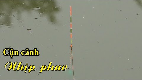 Cận cảnh nhịp phao cá ăn mồi, Câu Đài