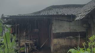Heavy Rain In an Old Shack House, Soothing, Sad, Reminiscing About The Past, Relaxing Rain