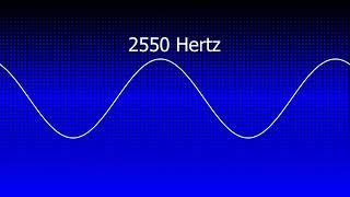 ๐พ 2550 Hz Dawn Field & Vitality | Champ dโAube & Vitalitรฉ ๐พ๐งโโ๏ธ