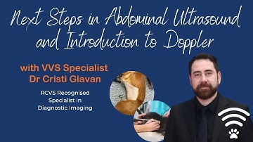 VVS Diagnostic Imaging: Next Steps in Abdo Ultrasound & Introduction to Doppler by Dr Cristi Glavan