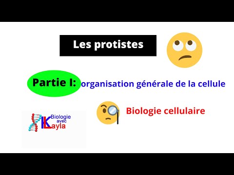 Vidéo: Quelles sont les caractéristiques des protistes ?