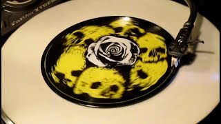 Video thumbnail of "The Lemonheads - "Skulls" (RSD Vinyl Issue) 1991 / 2013"