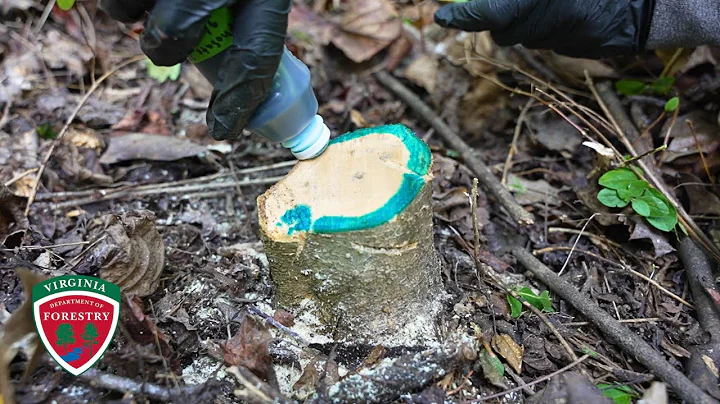 Methods for Treating Invasive Plants with Chemicals