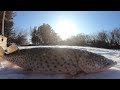 Ловля щуки по первому льду (Амурская область) winter fishing