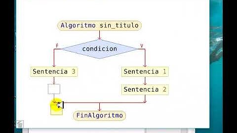 Video Condicional simple varias sentencias