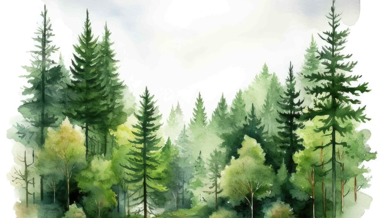 Arbre chambre charlie