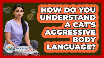 How Do You Understand A Cat