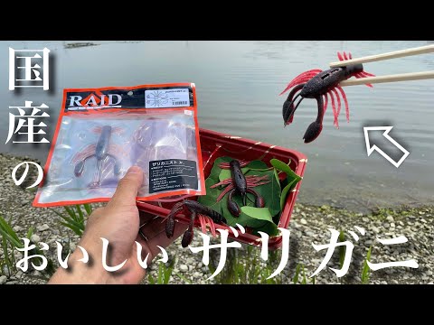 【バス釣り】ザリガニストジュニア！レイドジャパン2024年新製品！小さくなって新登場したザリガニもやはりすごい動きでした。 RAIDJAPAN ザリガニストJr.  水中アクション　動き　重さ　使い方