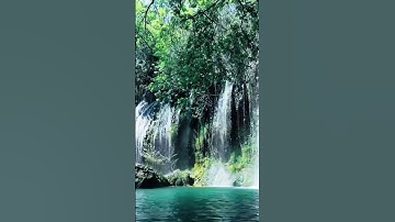 سورة الفاتحة بصوت الشيخ ماهر المعيقلي    #سورة #سورة_الفاتحة #القرآن_الكريم #تلاوات #تلاوة_خاشعة