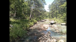 Bigfoot. Part 2. Kiamichi Mountain Expedition. June 13 -14, 2020. Also Vietnam War Rock Ape report.