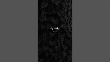 وَنُرِيدُ أَن نَّمُنَّ عَلَى الَّذِينَ اسْتُضْعِفُوا | محمد صديق المنشاوي | سورة القصص