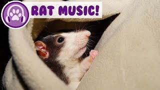 Music for Rats! Calm and Relax Your Rat and Stop Anxiety! screenshot 3