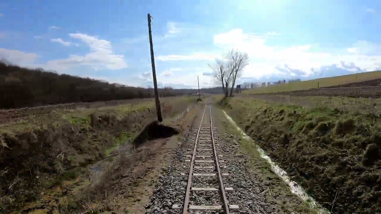 Zselici Csügöhő (308) Sasrét - Almamellék 5x (2023) 4kup