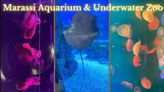 Exploring Marassi Aquarium & Underwater Zoo