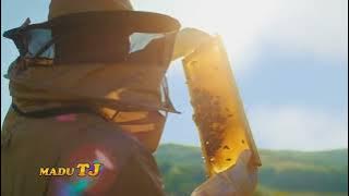 Download lagu TVC MADU TJ 2025 - IRFAN HAKIM