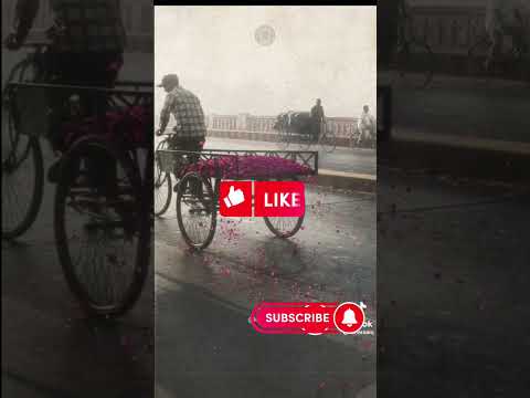يلي وصلك احلى من ماي الزلال