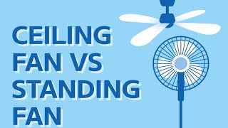 Ceiling Fan vs Standing Fan – Which One To Choose [REVIEW]