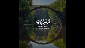 Surah As-Sajda Ayah 5-6 Samir ezzat سورة السجدة | سميرعزت