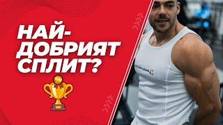 Как да избереш идеалната тренировъчна програма