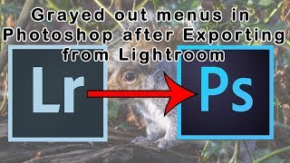 (FIXED) | Grayed out menus in Photoshop after Export