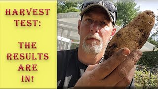 Potato Blossom Pruning | Part 2 | My Test Results Revealed