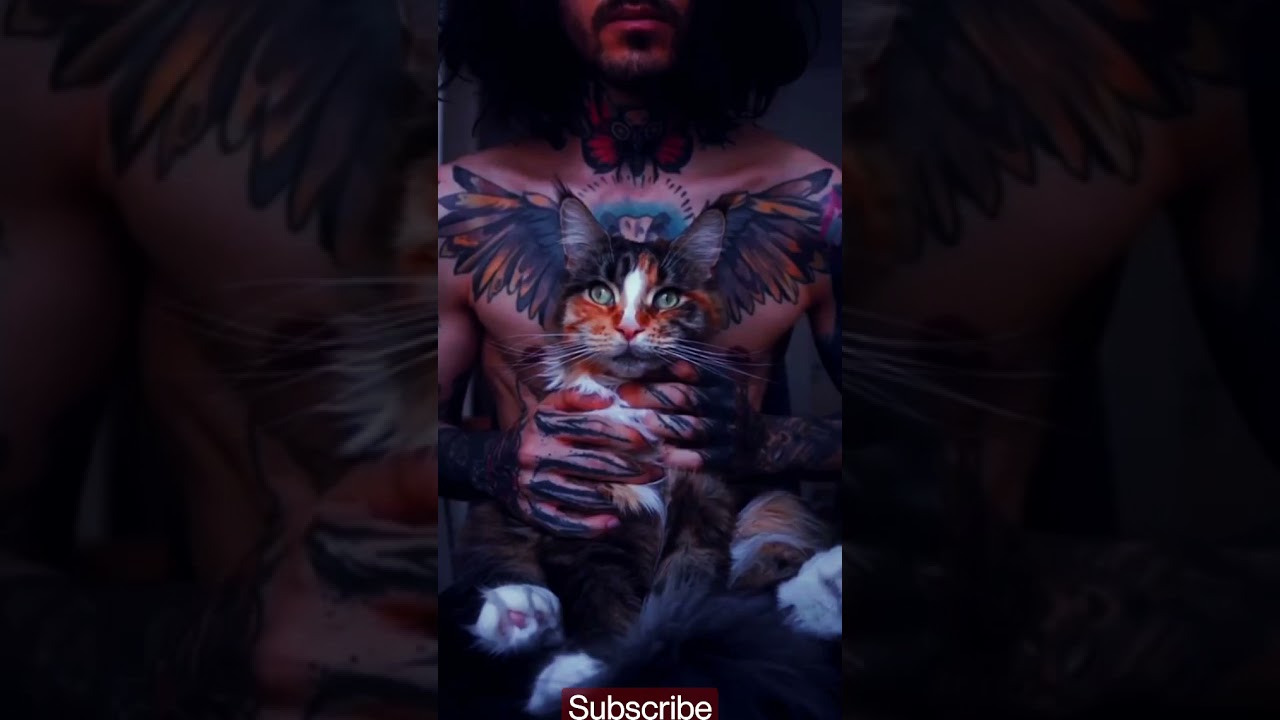 Cat Tattoo / cat lover / best tattoo 2021