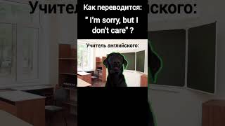 КАК!?🤯🤫 #ютуб #cat #рек #актив #мемасики🤣😅