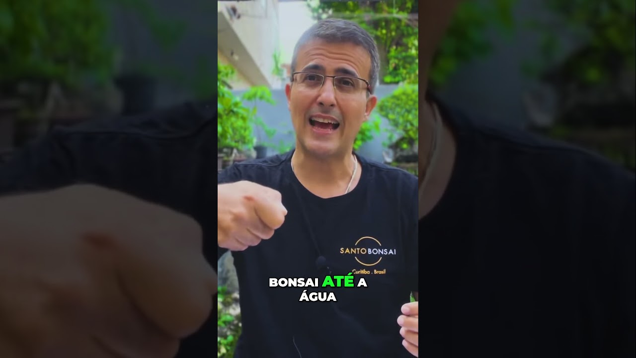 Como Regar Seu Bonsai Corretamente - Dicas Essenciais!!!