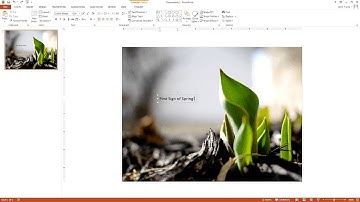 Text on picture with PowerPoint