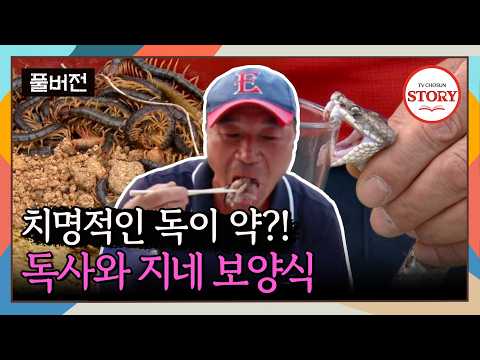 [FULL] 물리면 바로 사망?! 위험천만한 뱀, 지네를 찾아 먹는 사람들 | 뉴 코리아 헌터 ep.2 | TV CHOSUN 160616 방송