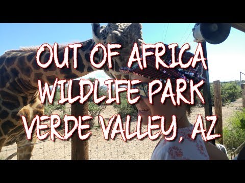 Video: Out of Africa Wildlife Park Wildlife Refuge v Arizoně