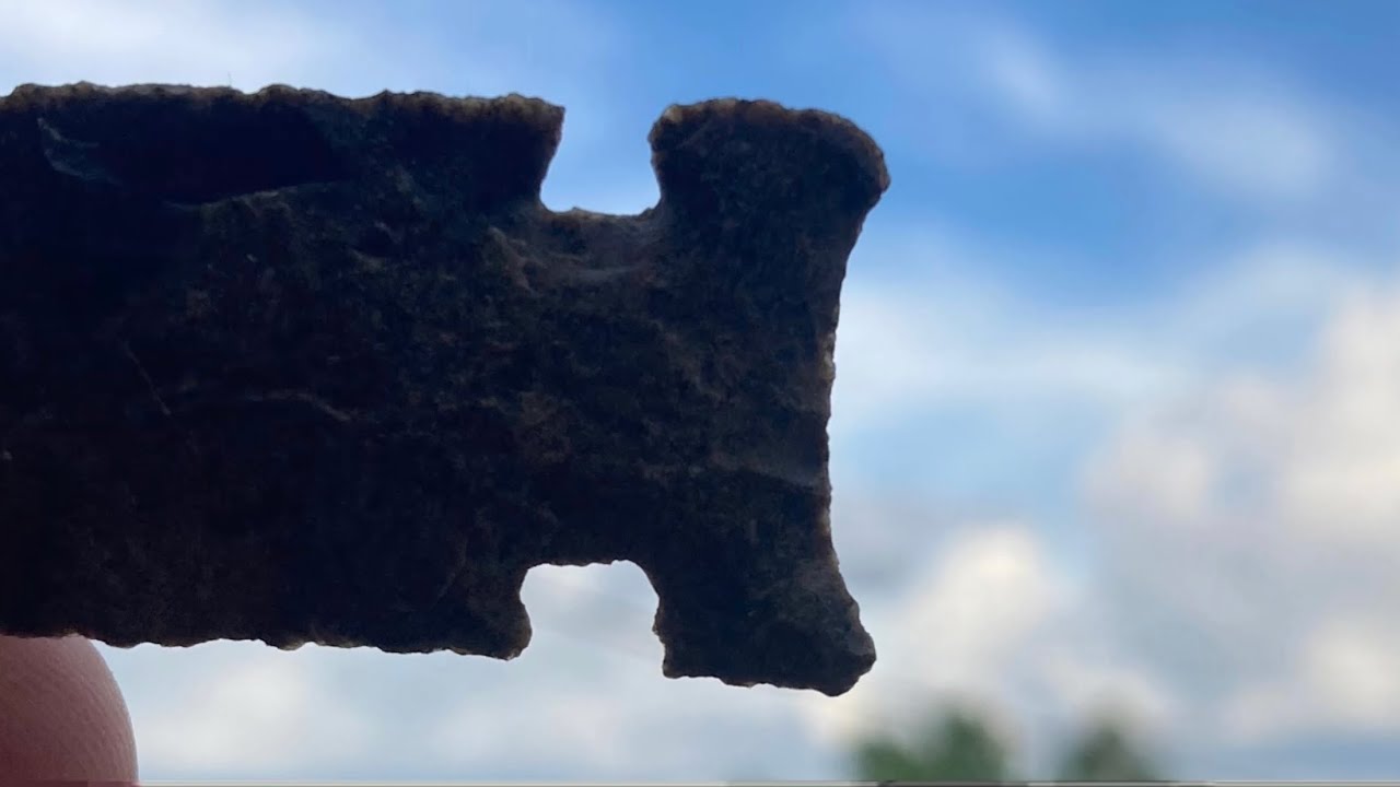 Pinetree’s & Pickwick’s! Arrowhead hunting Tennessee