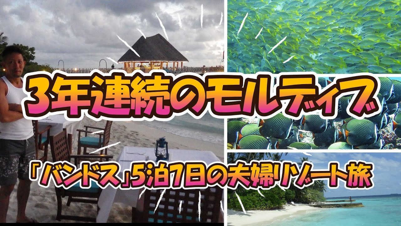 【3回目のモルディブ】バンドス5泊7日夫婦旅｜ウミガメと魚影に包まれるダイビングVlog