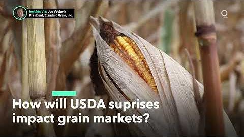 Farmers Get Good News in USDA Crop Report
