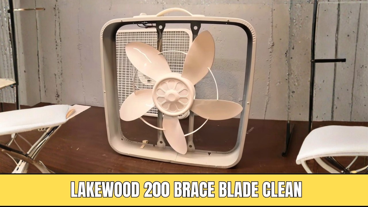 Lakewood 200 Brace Blade Box Fan I Clean - YouTube