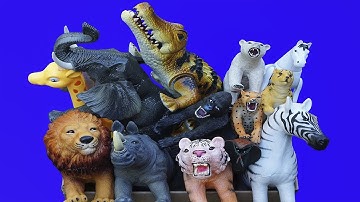 Mainan hewan bisa jalan nama binatang dan suara hewan gajah, buaya, kuda, jerapah, singa, harimau,..