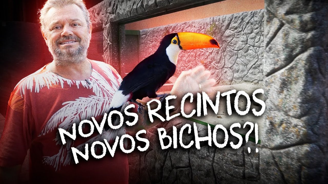 ATUALIZAÇÃO DAS REFORMAS NA CASA DOS BICHOS!