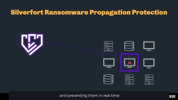 Ransomware Protection with Silverfort
