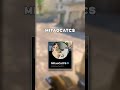 This CS2 Pro Just SCAMMED Over $25K In Skins... ⚠️
