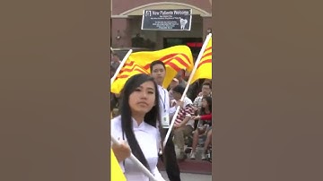 Một rừng cờ vàng ba sọc đỏ #shorts