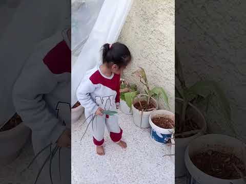 شوفو شوعم يعملو جننوني