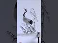 Beautiful Crane Bird Drawing 🐦 Easy Ink Art Tutorial For Beginners #pencilart #shorts
