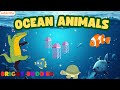 Ocean Animals Song for Kids | Learn Sea Creatures with Fun Music &amp; Animation