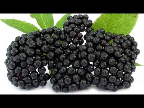 The Most Dangerous Fruits In The World