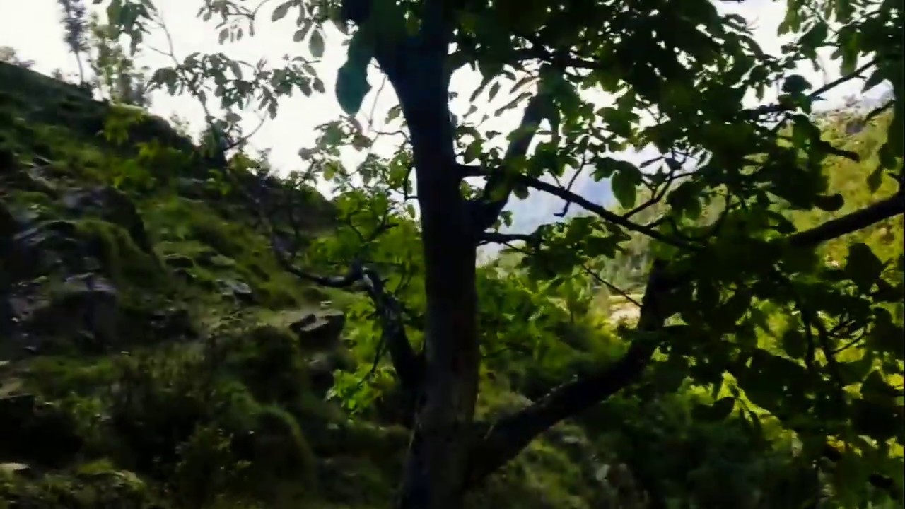 Exploring Village Sabonay Swat:Natural water Spring  