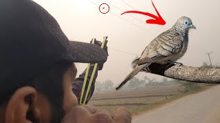 Extreme Birds Game❗ screenshot 4